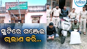 ସ୍କୁଟିରେ ଗଞ୍ଜେଇ ଚାଲାଣ କରି ଜେଲ୍‌ ଗଲେ ୨ ଅଭିଯୁକ୍ତ
