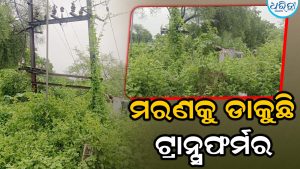 ବିପଦସଙ୍କୁଳ ଅବସ୍ଥାରେ ବିଦ୍ୟୁତ୍‌ ଟ୍ରାନ୍ସଫର୍ମର, ମରଣକୁ ଡାକୁଛି ଆ’…