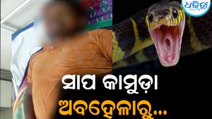 ଘରେ ଶୋଇଥିଲେ ଟିକେଶ୍ୱର, କାମୁଡ଼ିଲା ସାପ: ରାତିଅଧରେ ଏମିତି କାମ କରିବାରୁ ଘଟିଲା…