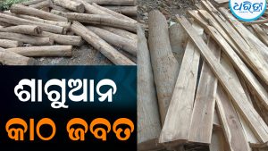 ଜମିରୁ ୩୬ ଘନଫୁଟ ଶାଗୁଆନ କାଠ ଜବତ: ଆନୁମାନିକ ମୂଲ୍ୟ ହେବ…