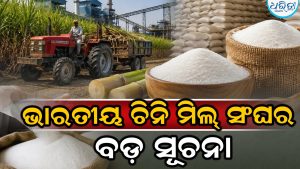ଚିନିକୁ ନେଇ ଦେଶରେ ହଇଚଇ: ବଡ଼ ସୂଚନା ଦେଲା ଭାରତୀୟ ଚିନି ମିଲ୍‌ ସଂଘ, ଆଗକୁ…