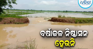 ପ୍ରଶାସନିକ ଅବହେଳାର ପ୍ରତିବାଦ: ବର୍ଷାଜଳ ନିଷ୍କାସନ ନ ହେବାରୁ ଅନେକ ଗ୍ରାମର ଚାଷ ଜମି ଜଳମଗ୍ନ, ଆନ୍ଦୋଳନ ଚେତାବନୀ
