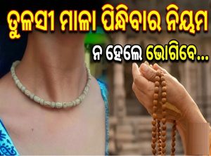 କିଏ ପିନ୍ଧିପାରିବେ କଣ୍ଠି ମାଳା? ଜାଣିରଖନ୍ତୁ ତୁଳସୀ ମାଳା ପିନ୍ଧିବାର ନିୟମ, ନହେଲେ ଭୋଗିବେ…