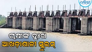 ଦାଉ ସାଧୁଛି ମହାନଦୀ ବନ୍ୟା: ନଷ୍ଟ ହେଉଛି ଫସଲ, ଆନ୍ଦୋଳନ ଚେତାବନୀ ଦେଇ ଚାଷୀ କହିଲେ…
