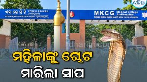 ଘରେ ଶୋଇଥିଲେ ମହିଳା, ଚୋଟ ମାରିଲା ସାପ, ଆଉ ତା’ ପରେ…