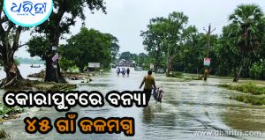 କୋରାପୁଟରେ ବର୍ଷା ବିତ୍ପାତ: ୪୫ ଗାଁ ଜଳମଗ୍ନ