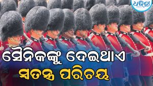 ଇତିହାସ ପାଲଟିବ ବକିଂହାମ୍‌ ପ୍ରାସାଦର ଭାଲୁଛାଲ ଟୋପି