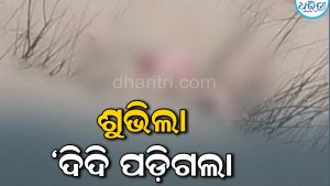 ଭିଡିଓ କଲ୍‌ର ଅପରପାର୍ଶ୍ୱରୁ ଶୁଭିଲା ‘ଦିଦି ପଡ଼ିଗଲା’: ୪୩ ଘଣ୍ଟା ପରେ ଉଦ୍ଧାର ହେଲା…