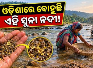 ଭାରତର ଏକମାତ୍ର ନଦୀ, ଯାହାର ବାଲିରୁ ମିଳେ ସୁନା! ଓଡ଼ିଶାରେ ବି ବୋହୁଛି…