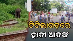 ଟିଟିଲାଗଡ଼ ସହରରେ ହାତୀ ଆତଙ୍କ: ରେଳ ଧାରଣା ନିକଟରେ ଥିବା ବୁଦାମୂଳ ଭିତରକୁ ପଶି…