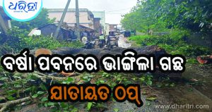 ଗଛ ପଡ଼ି ରାସ୍ତା ଅବରୋଧ: ଯାତାୟତ ଠପ୍‌