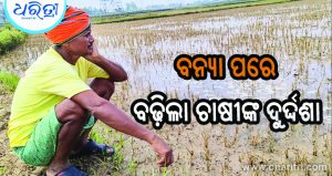 ଛାଡ଼ିଲା ବନ୍ୟା, ବଢ଼ିଲା ଚାଷୀଙ୍କ ଦୁର୍ଦ୍ଦଶା