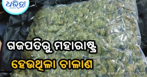 କଲେଜ ବ୍ୟାଗ୍‌ରେ ଗଞ୍ଜେଇ ଚାଲାଣ, ଧରାପଡ଼ିଲେ ଯୁବକ