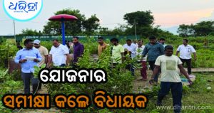 ‘ମୁକ୍ତା’ଯୋଜନାରେ ହୋଇଥିବା କାର୍ଯ୍ୟର ଭିଜିଲାନ୍ସ ତଦନ୍ତ ହେବ: ବିଧାୟକ