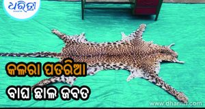 ବାଘ ଛାଲ ଡିଲ୍‌ ବେଳେ ମାଡ଼ି ବସିଲା ଗୁଜରାଟ ଟିମ୍‌