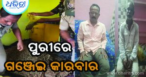ଭଡ଼ା ଘରେ ଚାଲିଥିଲା ଗଞ୍ଜେଇ କାରବାର, ମାଡ଼ି ବସିଲା ପୁରୀ ପୋଲିସ