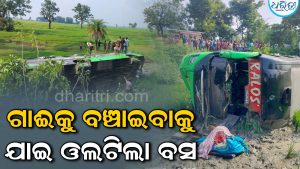 ଗାଈକୁ ବଞ୍ଚାଇବାକୁ ଯାଇ ଓଲଟିଲା   ଟୁରିଷ୍ଟ ବସ୍: ୧୫ରୁ ଊର୍ଦ୍ଦ୍ବ ଗୁରୁତର