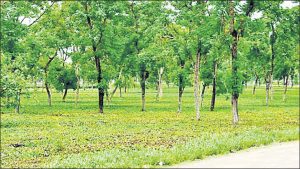 ୨୦୫୦ ସୁଦ୍ଧା ଉତ୍ତରାଖଣ୍ଡର କୃଷି-ବନୀକରଣ ୭୦% ହ୍ରାସ ଘଟିପାରେ