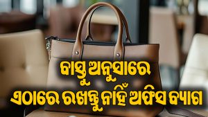 ଭୁଲରେ ବି ଏପରି ରଖନ୍ତୁ ନାହିଁ ଅଫିସ ବ୍ୟାଗ: କ୍ୟାରିୟର ହେବ ବଡ଼ କ୍ଷତି, ପାଖରୁ ପଳାଇବ ସବୁ ଧନ !