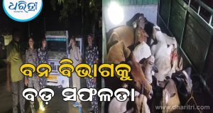 ଗୋରୁ ବୋଝେଇ ପିକଅପ ଜବତ: ୯ ଗୋରୁ ଉଦ୍ଧାର, ୨ ଜଣ ଅଟକ