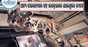 ବୃହତ୍ତମ ‘ଟି-ରେକ୍ସ’ ଡାଇନୋସର ମୃତ୍ୟୁ ରହସ୍ୟରୁ ହଟିଲା ପରଦା
