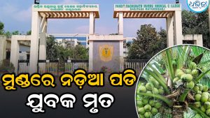 ରିଲିଫ ନେଇ ଫେରୁଥିବା ବେଳେ ଛାତ୍ରଙ୍କ ମୁଣ୍ଡରେ ପଡ଼ିଗଲା ନଡ଼ିଆ, ତାପରେ….
