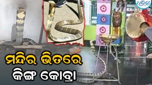 ରତ୍ନେଶ୍ଵରୀ ମନ୍ଦିର ଭିତରେ ଗର୍ଜନ କରୁଥିବା ବିରାଟ ଅହିରାଜ! ଲୋକେ ଛାନିଆ, ବନବିଭାଗ ପହଞ୍ଚି…