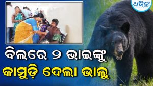 ବିଲରେ କାମ କରୁଥିବା ବେଳେ ଦୁଇ ଭାଇଙ୍କ ଉପରେ ମାଡିବସିଲା ଭାଲୁ, ରକ୍ତ ଜୁଡୁବୁଡୁ…