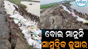 ରଡ଼ିଆ-କଂସାର ଗୋବରୀ ନଦୀବନ୍ଧରେ ୩ ଫୁଟର ଘାଇ, କାଳ ସାଜିଛି ଚିଙ୍ଗୁଡ଼ି ଘେରି