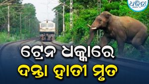 ହାତୀକୁ ଧକ୍କା ଦେଲା ଟ୍ରେନ୍‌: ଚାଲିଗଲା ଜୀବନ