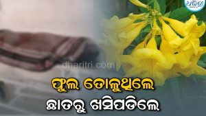 ଫୁଲ ତୋଳିବାକୁ ଯାଇଥିଲେ ଆଦିତ୍ୟ, ଛାତରୁ ଖସି ଚାଲିଗଲା ଜୀବନ