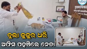ବ୍ୟାଗରେ କୁକୁର ଧରି ଅଫିସରେ ପହଞ୍ଚିଲେ ଯୁବନେତା, ଅଫିସରଙ୍କ ଟେବୁଲ ଉପରେ ଛାଡି…