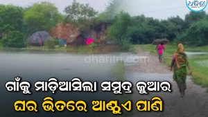 ଗାଁରେ ପଶିଲା ସମୁଦ୍ର ଜୁଆର: ଅପହଞ୍ଚ ସାନ୍ତାଳୀ ଗାଁ ପାଣିଖିଆରେ ଦୁଇଟି ଘାଇ