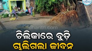 ବର୍ଷା ପବନରେ କୃଷ୍ଣପ୍ରସାଦ ବେହାଲ: ଗାଁ ଦାଣ୍ଡରେ ଲହଡ଼ି ମାରୁଛି ପାଣି, ଚିଲିକାରେ ବୁଡ଼ି ଜଣେ ମୃତ