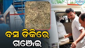 ବସ୍‌ ଡିକିରୁ ୨ ବସ୍ତା ଗଞ୍ଜେଇ ଜବତ, ୫ ଅଟକ