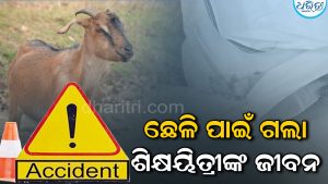 ସ୍କୁଲ ଯିବା ବାଟରେ ସ୍କୁଟି ଆଗକୁ ଆସିଗଲା ଛେଳି, ଦୁର୍ଘଟଣାରେ ଚାଲିଗଲା ଶିକ୍ଷୟିତ୍ରୀଙ୍କ ଜୀବନ