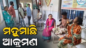 କାଠ ସଂଗ୍ରହ ବେଳେ ମହୁମାଛି ଆକ୍ରମଣ: ୪ ଜଣ ଆହତ, ତୁମୁଡ଼ିବନ୍ଧ ଗୋଷ୍ଠୀ ସ୍ୱାସ୍ଥ୍ୟକେନ୍ଦ୍ରରେ ଚିକିତ୍ସାଧୀନ