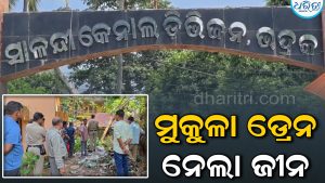 ଶାଗ ତୋଳିବାକୁ ଯାଇ ମୁକୁଳା ଡ୍ରେନରେ ପଡିଗଲେ ବ୍ୟକ୍ତି, ତାପରେ….