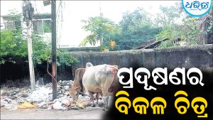 ସରିଲା ନୂଆଁଖାଇ, ରହିଗଲା ଆବର୍ଜନା: ସହର ସାରା ପରିବେଶ ପ୍ରଦୂଷଣର ବିକଳ ଚିତ୍ର