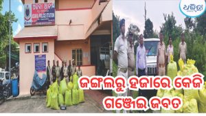 ଅଡବା ପୋଲିସକୁ ବଡ଼ ସଫଳତା, ଜଙ୍ଗଲରେ ଲୁଚାଇ ରଖିଥିଲେ ଗଞ୍ଜେଇ, ହଜାରେ କେଜି ଜବତ