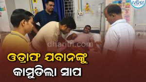 ବନ୍ୟା ଉଦ୍ଧାର କାର୍ଯ୍ୟରେ ନିୟୋଜିତ ଓଡ୍ରାଫ ଯବାନଙ୍କୁ କାମୁଡ଼ିଲା ସାପ