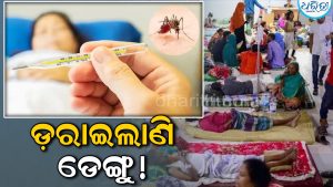 ଡେଙ୍ଗୁ ରୋଗୀଙ୍କ ପାଇଁ ହସ୍ପିଟାଲରେ ମିଳୁନି ସ୍ଥାନ, ଚଟାଣରେ ଚାଲିଛି ଚିକିତ୍ସା; ୧୮ ଦିନରେ ୭୯ ମୃତ୍ୟୁ