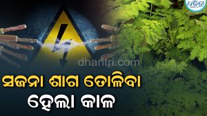 ସଜନା ଶାଗ ତୋଳିବା ହେଲା କାଳ: ୧୧ କେଭି ବିଦ୍ୟୁତ୍ ତାର ସଂସ୍ପର୍ଶରେ ଆସି ଚାଲିଗଲା ୩୦ ବର୍ଷୀୟ ଯୁବକଙ୍କ ଜୀବନ