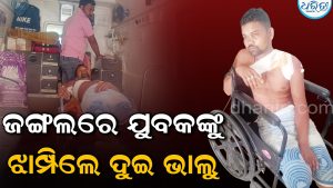 ଭାଲୁ ଆକ୍ରମଣରେ ଯୁବକ ଗୁରୁତର