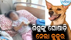 ୨୦ ମାସର ଶିଶୁଙ୍କୁ ଘରୁ ଘୋଷାଡ଼ି ନେଲା କୁକୁର: ଆଉ ତା’ପରେ ଘଟିଲା…