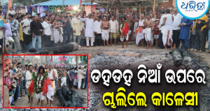ପ୍ରସିଦ୍ଧ ଅଗ୍ନି ଭୈରବଙ୍କ ଝାମୁଯାତ୍ରା ମହାଆଡ଼ମ୍ବରରେ ସମ୍ପନ୍ନ, କମ୍ପିଲା ଲାଞ୍ଜିଗଡ଼; ତତଲା ନିଆଁ ଉପରେ ଚାଲିଲେ…