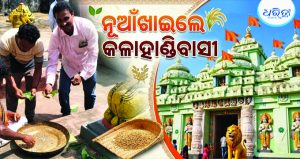 ଦଧିବାମନ ମନ୍ଦିରରେ ଲାଗି ହେଲା ନବାନ୍ନ, ଇଷ୍ଟ ଦେବୀଙ୍କ ପାଖରେ ଅର୍ପଣ କରି…