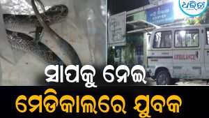 ହଠାତ୍‌ ମୋଚିରାମଙ୍କୁ କାମୁଡ଼ିଲା ସାପ: ତା’ପରେ ଏମିତି କାମ କଲେ ଡାକ୍ତର ଆଶ୍ଚର୍ଯ୍ୟ