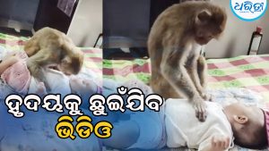 Viral Video: ନିଷ୍ପାପ ଶିଶୁ ସହ ଏମିତି ଖୁସି ମଜା କରୁଛି ମାଙ୍କଡ଼, ଭିଡିଓ ଦେଖିଲେ…
