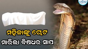 ଶୋଇଥିବାବେଳେ ମହିଳାଙ୍କୁ ଚୋଟ ମାରିଲା ସାପ, ଚାଲିଗଲା ଜୀବନ